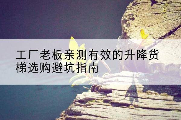 洮北升降货梯怎么选-工厂老板亲测有效的升降货梯选购避坑指南