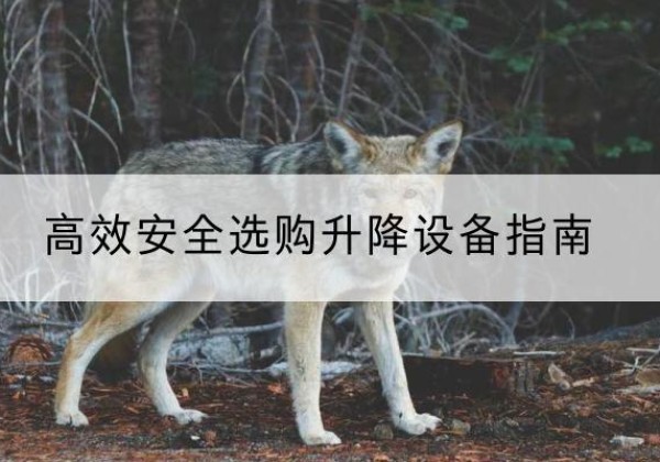 洮北升降货梯厂家推荐-*安全选购升降设备指南