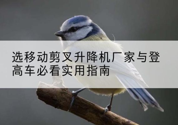 洮北电动升降机厂家-选移动剪叉升降机厂家与登高车必看实用指南