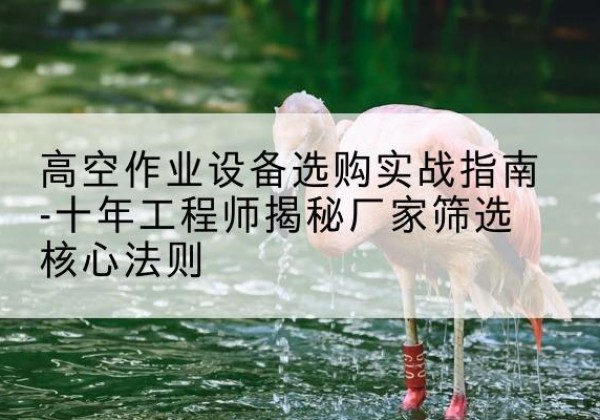 洮北剪叉式升降机厂家-高空作业设备选购实战指南-十年工程师揭秘厂家筛选核心法则
