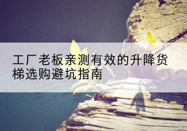 洮北升降货梯怎么选-工厂老板亲测有效的升降货梯选购避坑指南